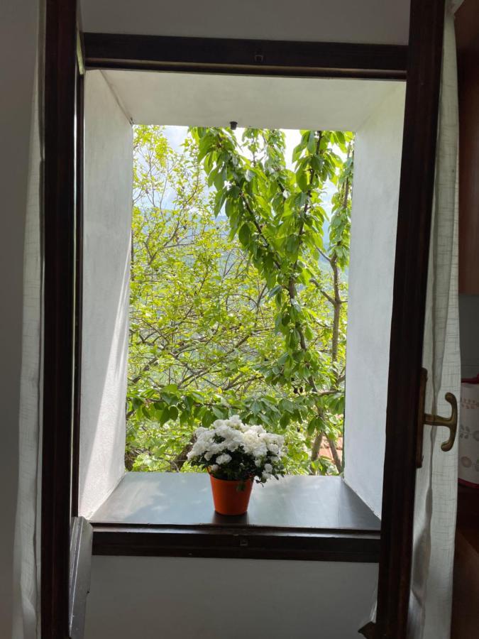 Casa Di Nonno Meme Citra 008035-Lt-0018 Daire Andagna Dış mekan fotoğraf
